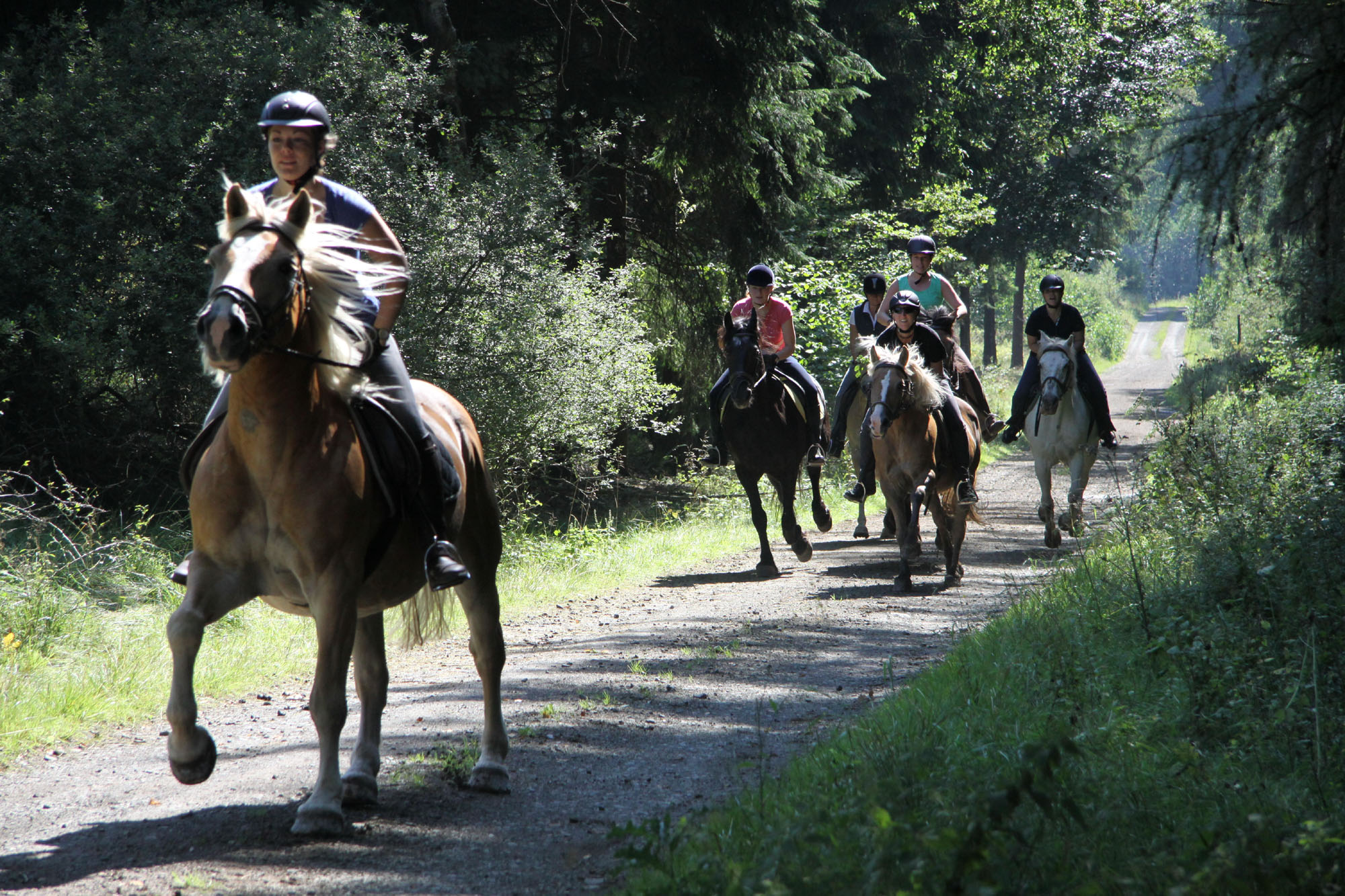 Tagesritt Lichtenauer Forst 30.06.2019 - Reiterhof-Hirschberg