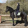 Smilla geb. 2016 – Bild 2