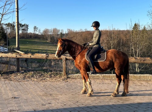 Calimero von der Erbsmatt geb. 2021