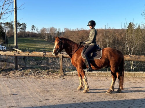 Calimero von der Erbsmatt geb. 2021