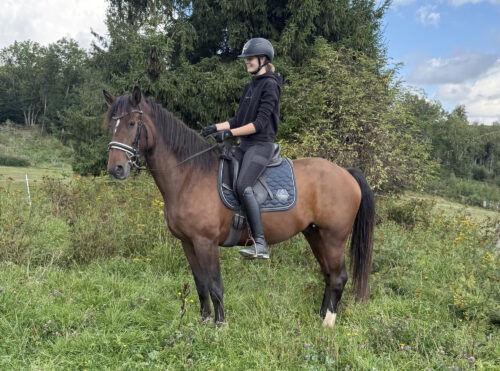 Cooper vom Sagenhof geb. 2021