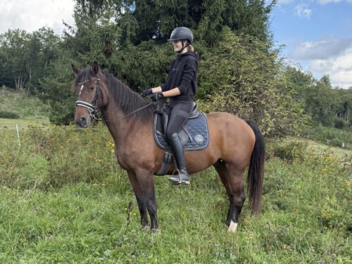Cooper vom Sagenhof geb. 2021