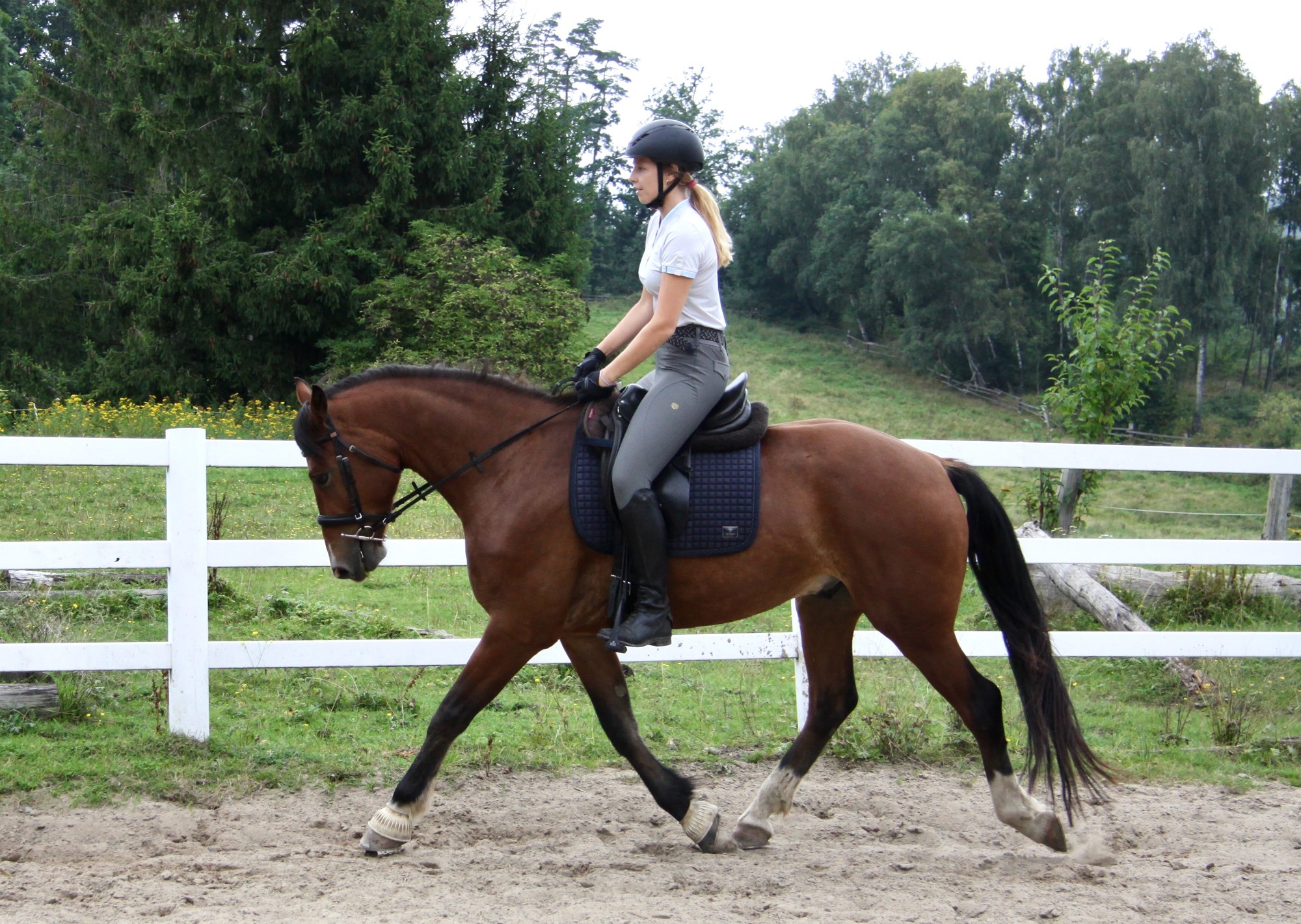 Humtiti geb. 2021 – Bild 7