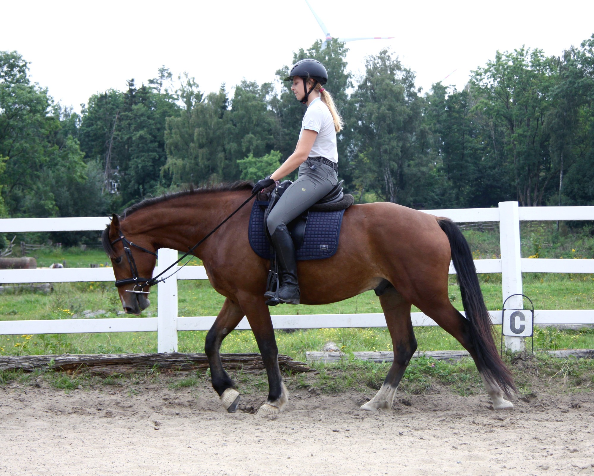 Humtiti geb. 2021 – Bild 6