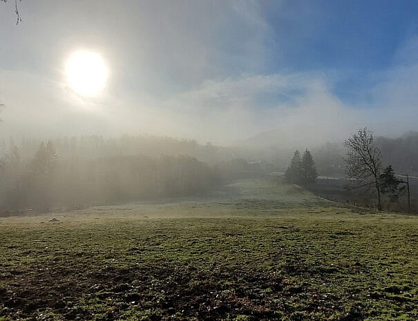 Hof_Nebel