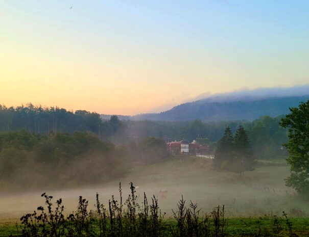 Morgennebel1_September