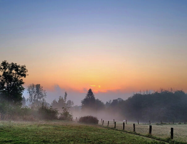 Morgennebel_September